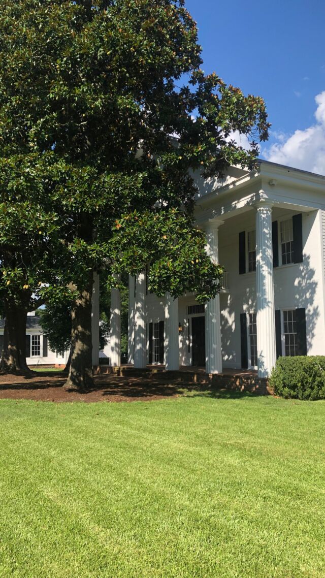 Contact The Pine House